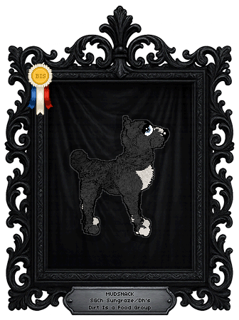 Profile image of Sungraze/Dh's Dirt Is a Food Group