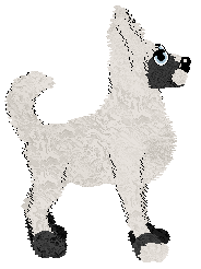 Sungraze/Dh's Abominable Snowbat — “Frost”