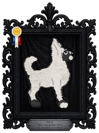 Profile image of Sungraze/Dh's Abominable Snowbat