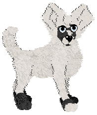 Sungraze/Dh's Abominable Snowbat — “Frost”