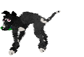 Krunchez/Dh's Night Stretched Thin — “Shade”