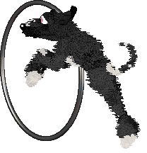 Krunchez/Dh's Night Stretched Thin — “Shade”