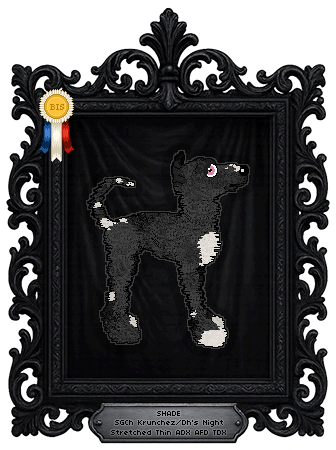 Profile image of Krunchez/Dh's Night Stretched Thin