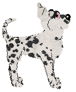 HK/Dh's Belle of the Ballroom — “Masquerade”