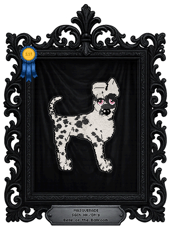 Profile image of HK/Dh's Belle of the Ballroom