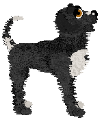 HK/Dh's Harvest Moon Rising — “Hallow”