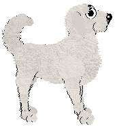 FH/Dh's Winter Is Coming — “Polar”