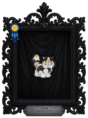 Profile image of Ferality's Crown Jewel at The Doghouse