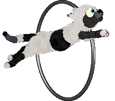 Witz's Novel Reverie — “Misery”