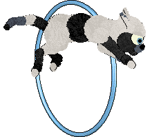 Witz's Novel Reverie — “Misery”