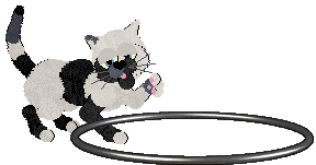 Witz's Novel Reverie — “Misery”