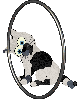 Witz's Novel Reverie — “Misery”