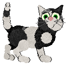 Arrow's On The Other Side — “Jasper”