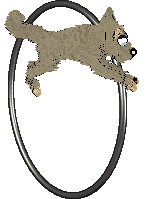 Vanilla/Arrow's Dust Bunny — “Speck”