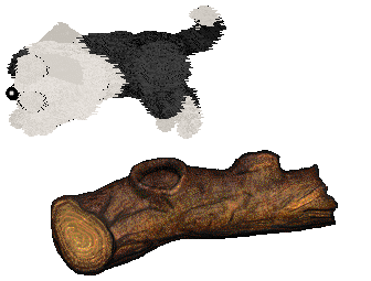 NSP's Loud & Proud at Vanilla — “Moose”