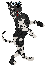 NSP's I Come First at Vanilla — “Lady”