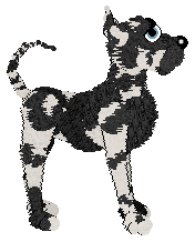 NSP's I Come First at Vanilla — “Lady”