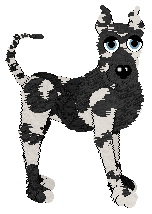 NSP's I Come First at Vanilla — “Lady”