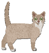 Profile image of Macavity's Smoked Oyster