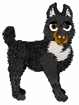 Pachelbel's In Search of Answers — “Query”