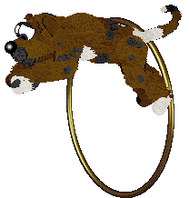 EC/Mockingbird's Beggin' Strips — “Bacon”