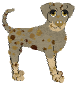 Profile image of Sz's Milky Way at Wild Road