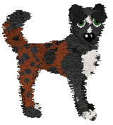 Profile image of Poppyhill's Lazybug at Wild Road