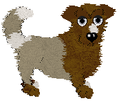 Lex's Nautilidae at Wild Road — “Nautilus”