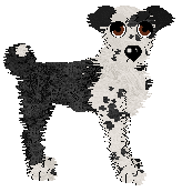 Wild Road's Pompeius Magnus — “Magnus”