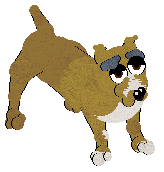 Witz/Mockingbird's Soft Drink Stall — “Bird”