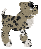 Witz's Beach Towel — “Beach Towel”