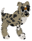 Profile image of Witz's Beach Towel