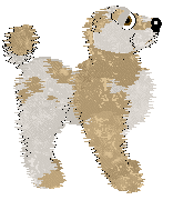 Mosswood Revelry's Mess Me Around — “Buttercup”