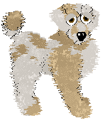 Profile image of Mosswood Revelry's Mess Me Around