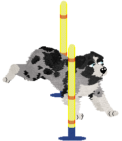 Spellbound's After the Glitter Fades — “Druid”