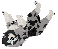 Spellbound's After the Glitter Fades — “Druid”