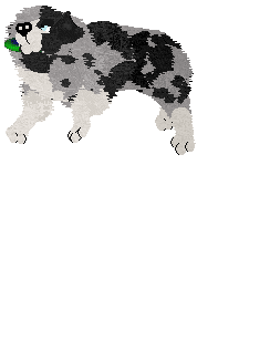 Spellbound's After the Glitter Fades — “Druid”