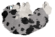 Spellbound's After the Glitter Fades — “Druid”