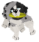 Spellbound's After the Glitter Fades — “Druid”