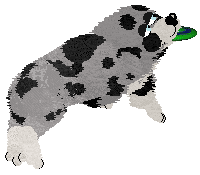 Spellbound's After the Glitter Fades — “Druid”