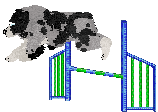 Spellbound's After the Glitter Fades — “Druid”