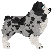 Spellbound's After the Glitter Fades — “Druid”