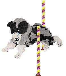 Spellbound's After the Glitter Fades — “Druid”