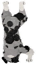 Spellbound's After the Glitter Fades — “Druid”