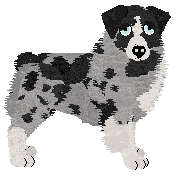 Spellbound's After the Glitter Fades — “Druid”