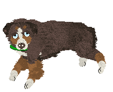 Spellbound's How Still My Love — “Eclectic”