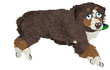 Spellbound's How Still My Love — “Eclectic”