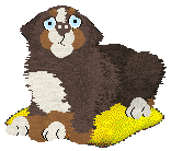 Spellbound's How Still My Love — “Eclectic”