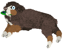 Spellbound's How Still My Love — “Eclectic”