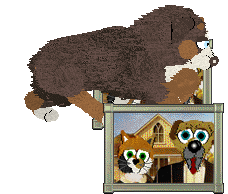 Spellbound's How Still My Love — “Eclectic”